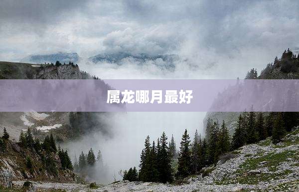 属龙哪月最好