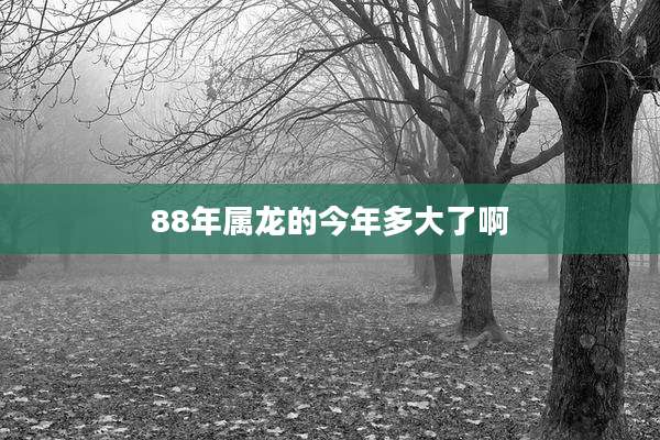 88年属龙的今年多大了啊