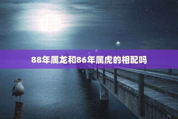 88年属龙和86年属虎的相配吗