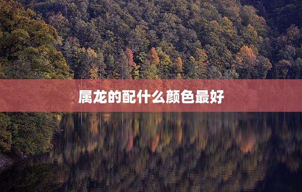 属龙的配什么颜色最好