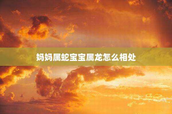 妈妈属蛇宝宝属龙怎么相处