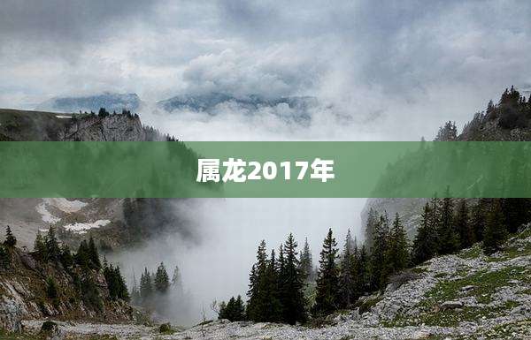 属龙2017年
