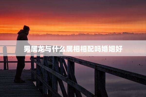男属龙与什么属相相配吗婚姻好