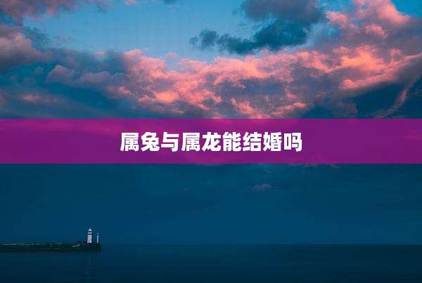 属兔与属龙能结婚吗