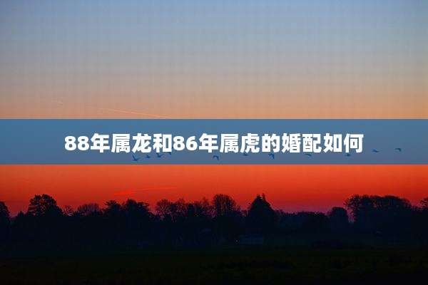 88年属龙和86年属虎的婚配如何