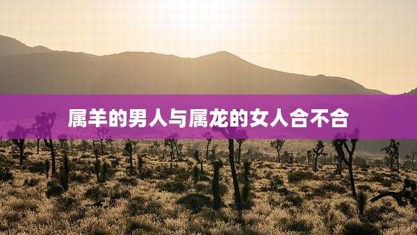 属羊的男人与属龙的女人合不合