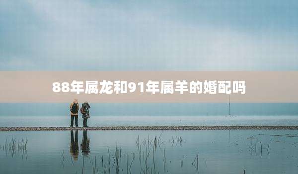 88年属龙和91年属羊的婚配吗