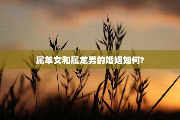 属羊女和属龙男的婚姻如何?