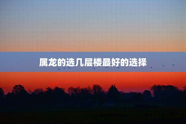 属龙的选几层楼最好的选择
