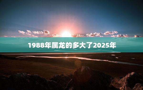 1988年属龙的多大了2025年