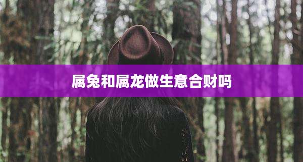 属兔和属龙做生意合财吗