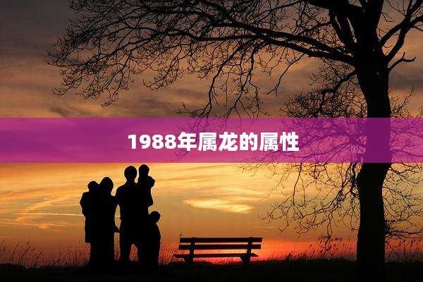 1988年属龙的属性