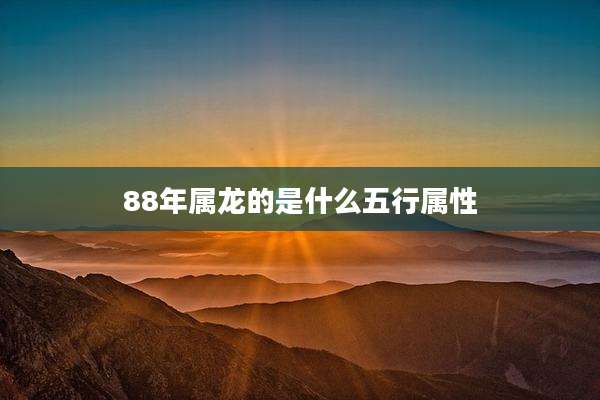 88年属龙的是什么五行属性
