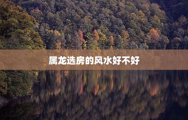 属龙选房的风水好不好