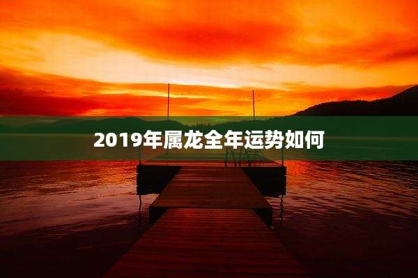 2019年属龙全年运势如何