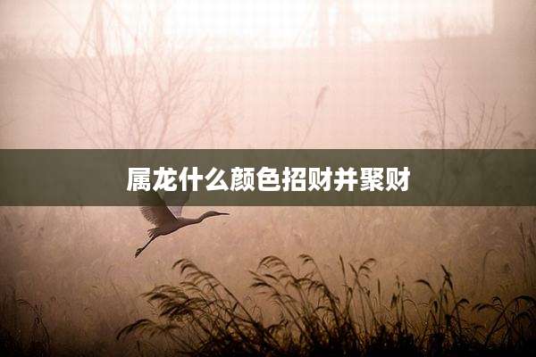 属龙什么颜色招财并聚财