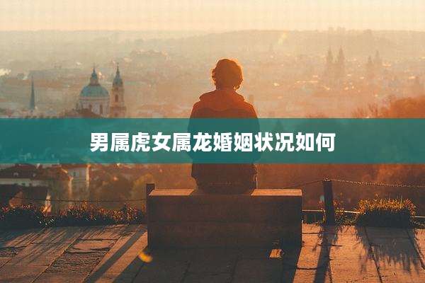 男属虎女属龙婚姻状况如何