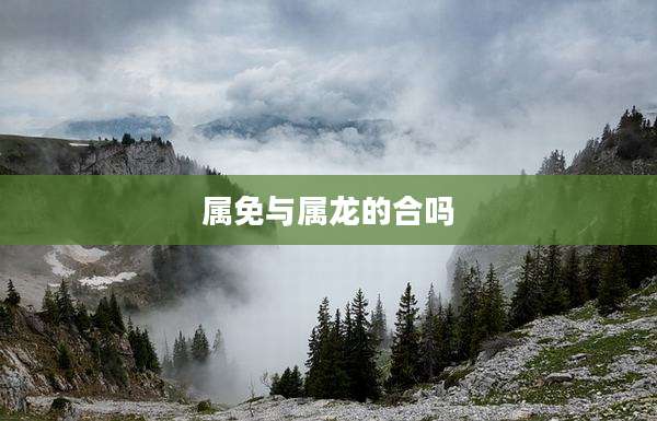 属免与属龙的合吗