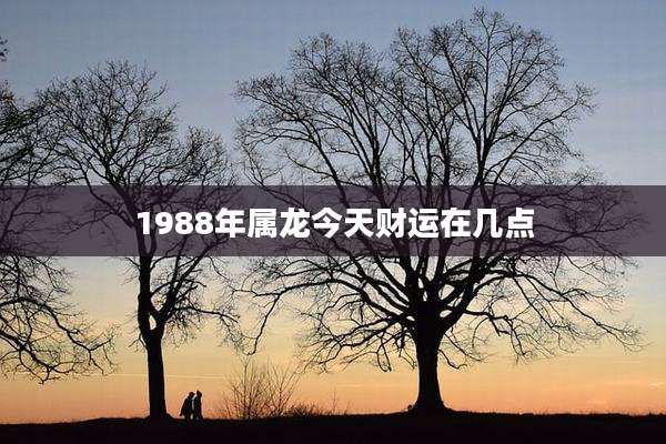 1988年属龙今天财运在几点