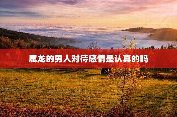 属龙的男人对待感情是认真的吗