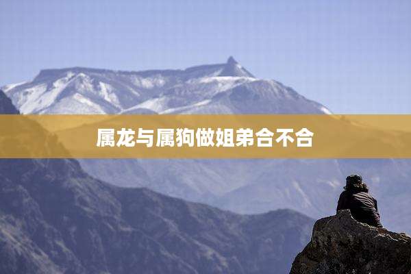 属龙与属狗做姐弟合不合