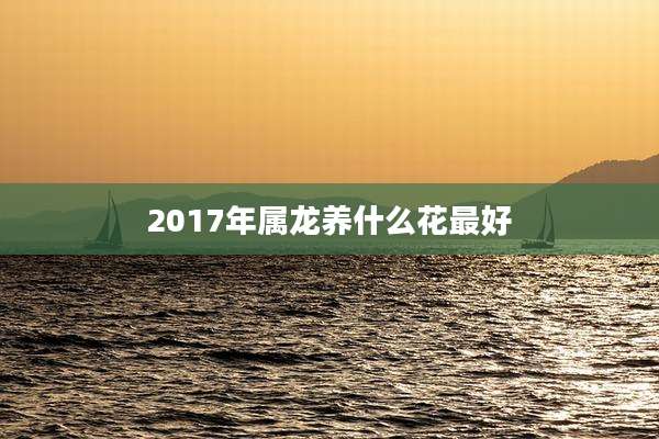 2017年属龙养什么花最好