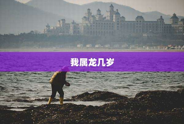 我属龙几岁