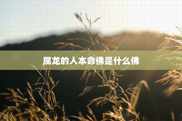 属龙的人本命佛是什么佛