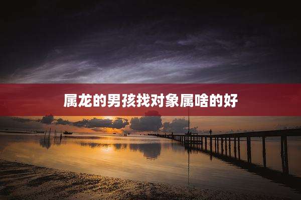 属龙的男孩找对象属啥的好