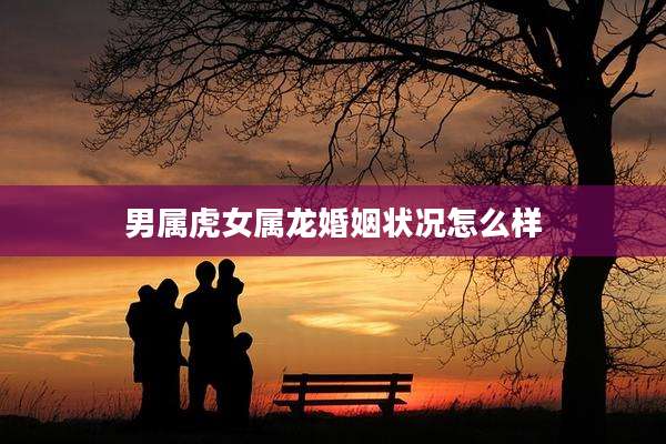 男属虎女属龙婚姻状况怎么样