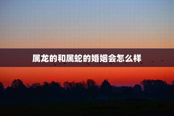 属龙的和属蛇的婚姻会怎么样