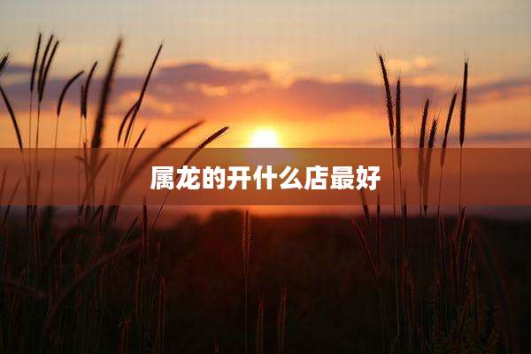 属龙的开什么店最好