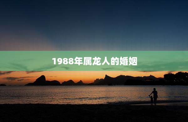 1988年属龙人的婚姻