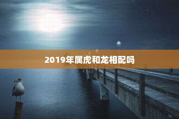 2019年属虎和龙相配吗