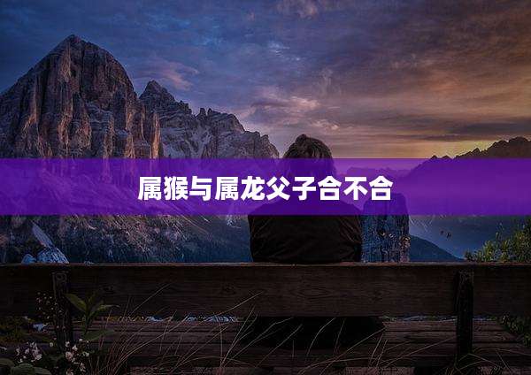 属猴与属龙父子合不合