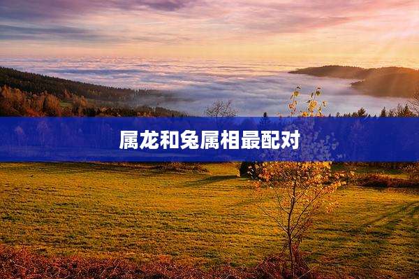 属龙和兔属相最配对