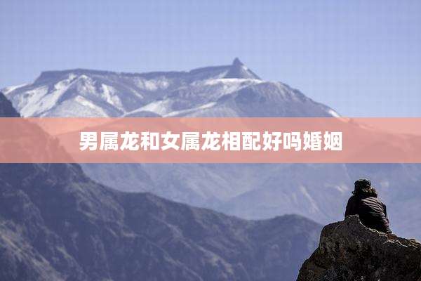 男属龙和女属龙相配好吗婚姻