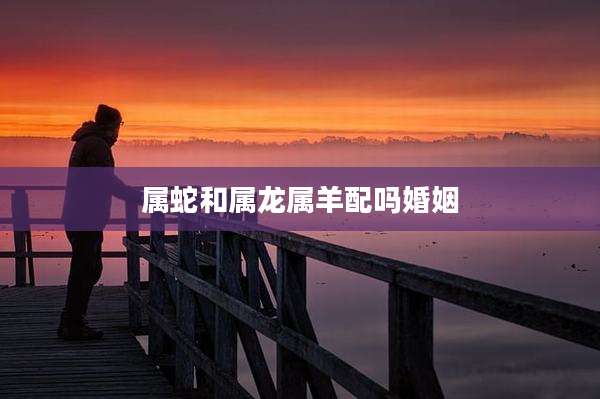 属蛇和属龙属羊配吗婚姻