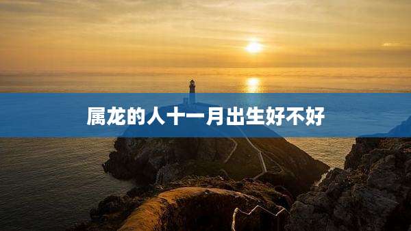 属龙的人十一月出生好不好