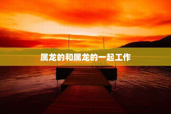 属龙的和属龙的一起工作