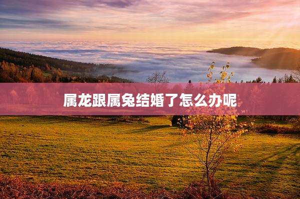 属龙跟属兔结婚了怎么办呢