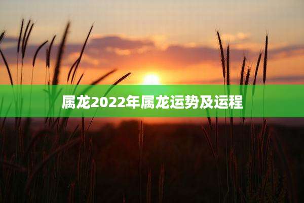 属龙2022年属龙运势及运程