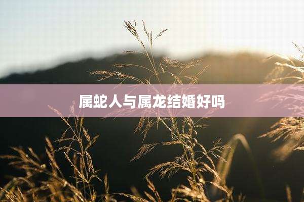 属蛇人与属龙结婚好吗