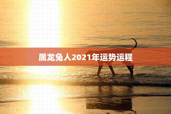 属龙兔人2021年运势运程