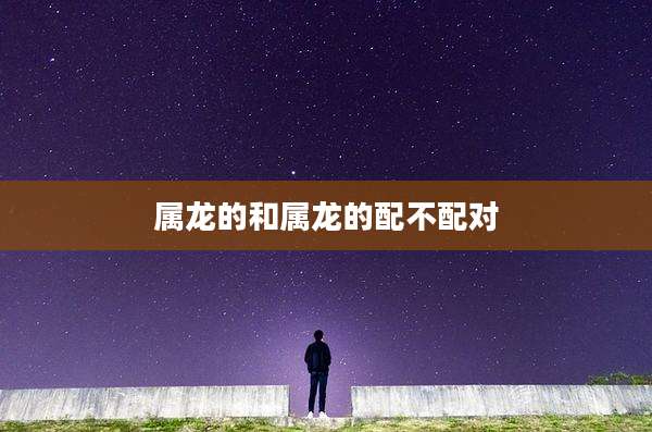 属龙的和属龙的配不配对