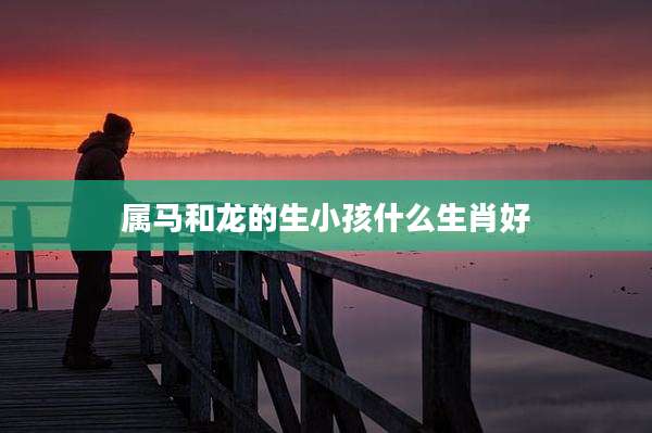 属马和龙的生小孩什么生肖好
