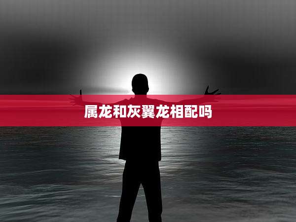 属龙和灰翼龙相配吗