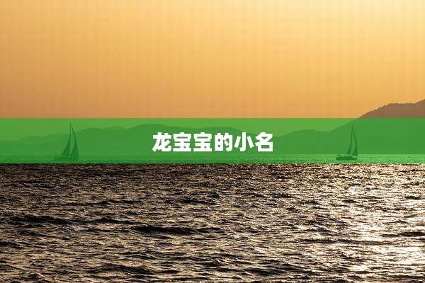 龙宝宝的小名
