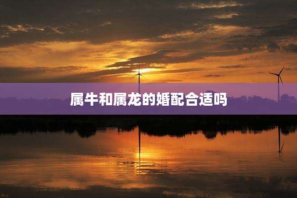 属牛和属龙的婚配合适吗