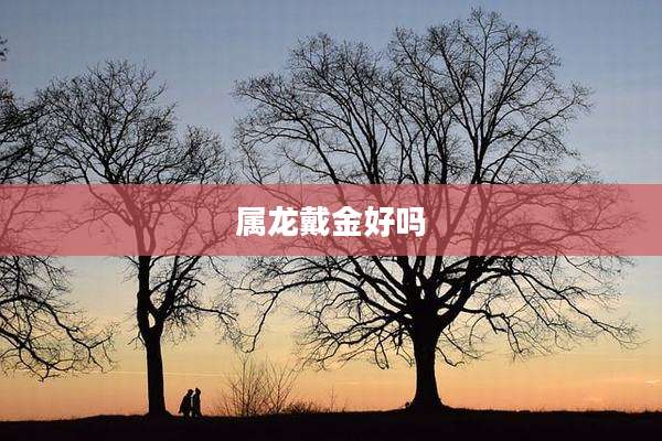 属龙戴金好吗